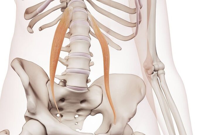 spinálna osteochondróza v bedrovej oblasti podstata choroby